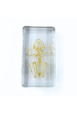 . Frog skeleton in resin 7.5 x 4 x 2 cm