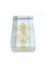 . Frog skeleton in resin 7.5 x 4 x 2 cm