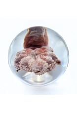 . Octopus in resin "sphere"
