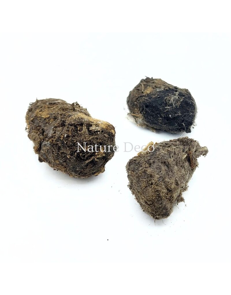 . Owl pellets with identification guide (3 pieces)