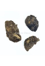 . Owl pellets with identification guide (3 pieces)