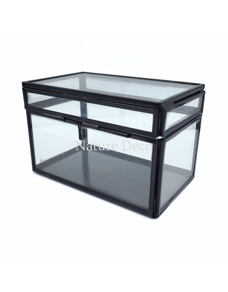 . Medium black display box 8.5 x 13.5 x 8.5 cm