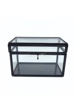 . Medium black display box 8.5 x 13.5 x 8.5 cm