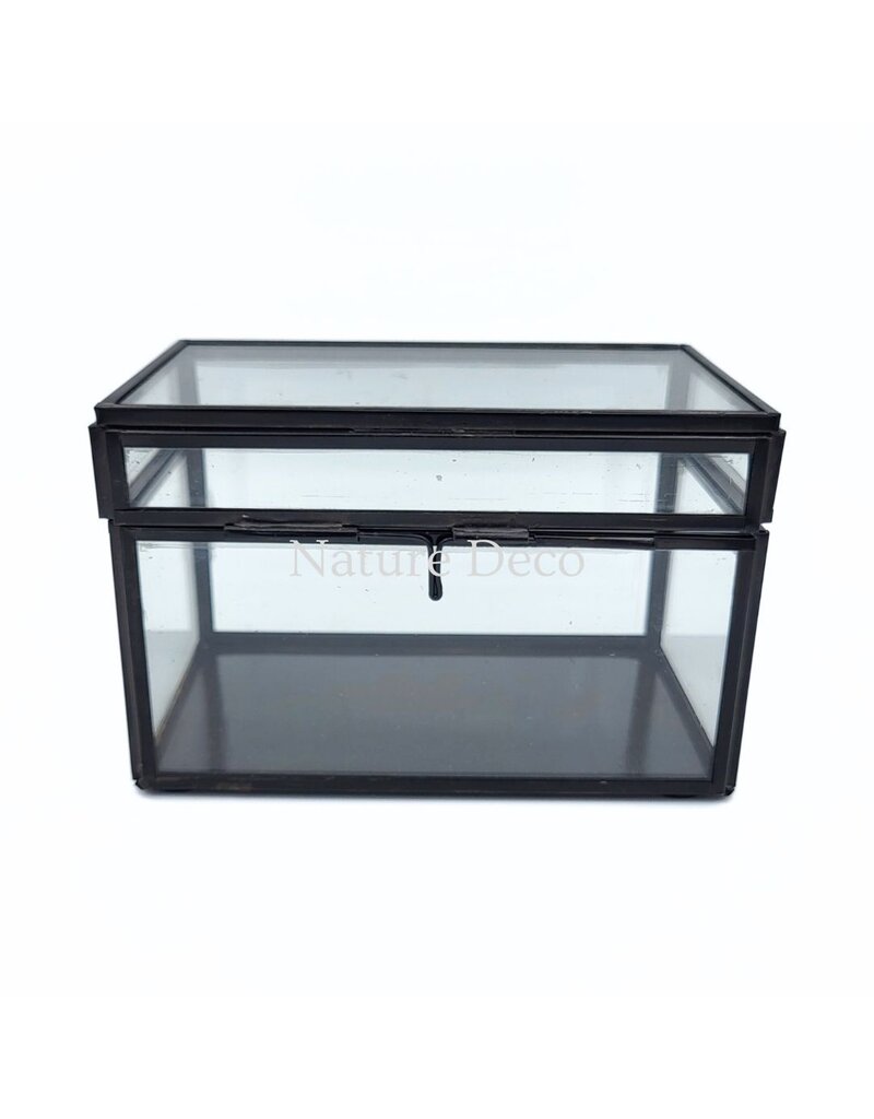 . Medium black display box 8.5 x 13.5 x 8.5 cm