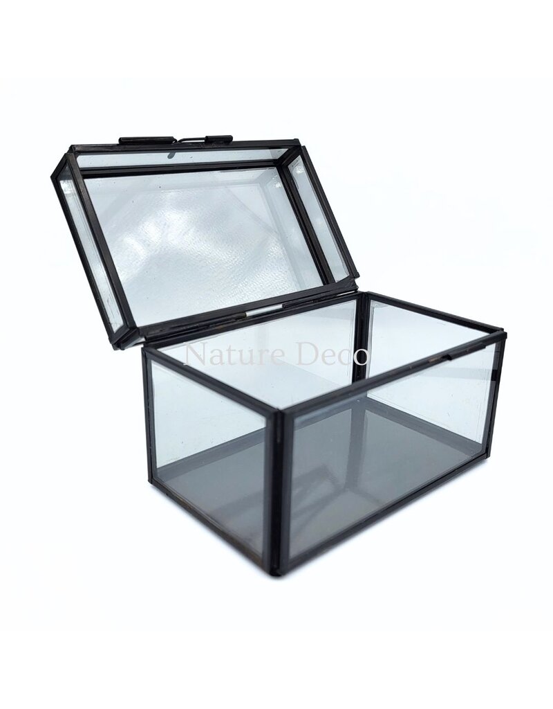 . Medium black display box 8.5 x 13.5 x 8.5 cm