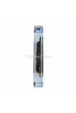 . Millipede and centipede in resin 13.5 x 6 x 2 cm