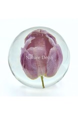 . Tulip in resin "sphere"