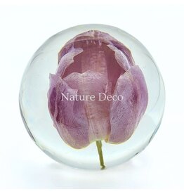 . Tulip in resin "sphere"