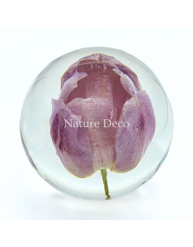 . Tulip in resin "sphere"