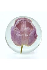 . Tulip in resin "sphere"