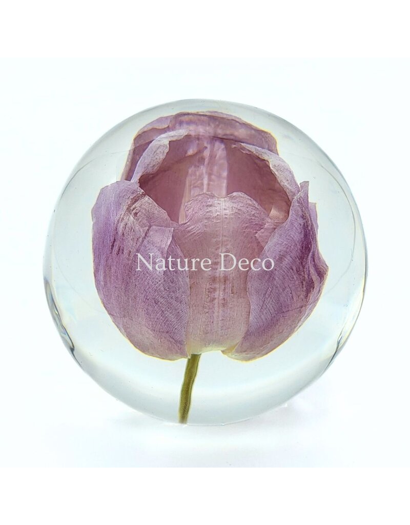 . Tulip in resin "sphere"