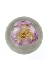 . Tulip in resin "sphere"