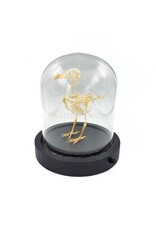 Nature Deco Vogelskelet in LED stolp 11,5 x 11,5 x 13 cm