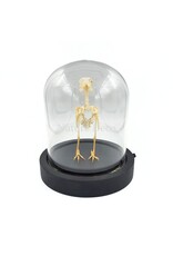 Nature Deco Vogelskelet in LED stolp 11,5 x 11,5 x 13 cm