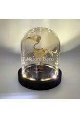 Nature Deco Vogelskelet in LED stolp 11,5 x 11,5 x 13 cm