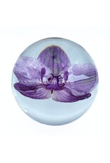 . Orchidee in hars "bol"