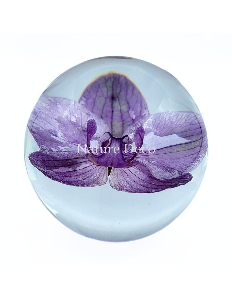 . Orchidee in hars "bol"