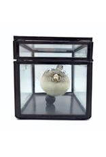 Nature Deco Puffer fish in display box 13.5 x 8.5 x 9 cm