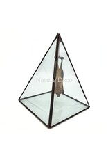 Nature Deco Vleermuis in vitrine box 19 x 19 x 26 cm