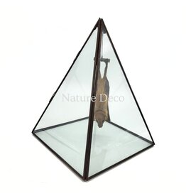 Nature Deco Bat in display box