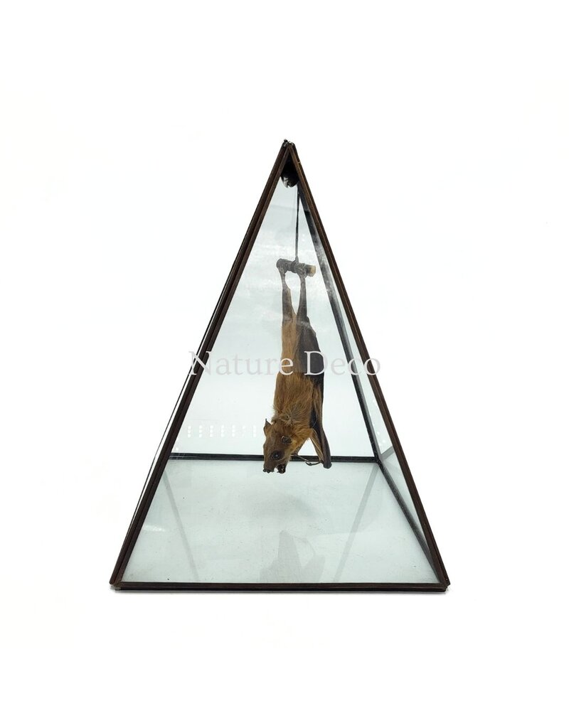 Nature Deco Bat in display box 19 x 19 x 26 cm
