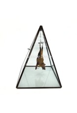 Nature Deco Vleermuis in vitrine box 19 x 19 x 26 cm