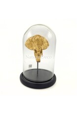 PTMD Gouden olifant in stolp 17 x 17 x 25 cm PTMD