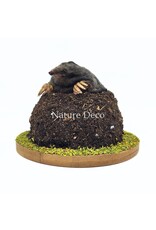 . Stuffed mole in soil (upper body visible) 11 x 11 x 9 cm