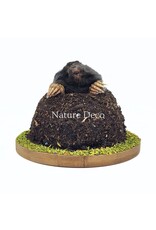 . Stuffed mole in soil (upper body visible) 11 x 11 x 9 cm
