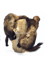 . Two mounted ferrets on a tree stump, 25 x 30 x 40 cm