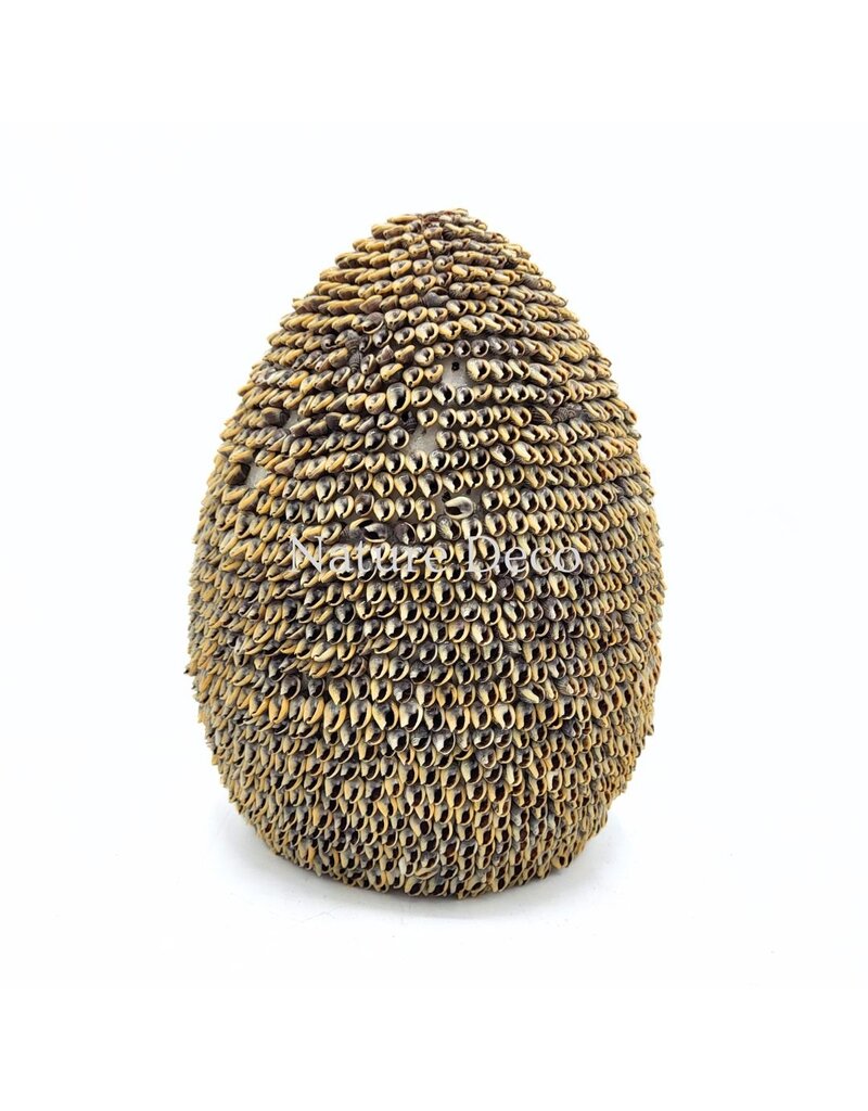 . Shell Egg on Stand 18.5 x 18.5 x 47 cm