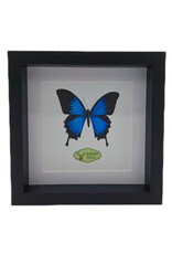 Nature Deco PRE ORDER Extra diep luxe 3D lijst vierkant 22 x 22 x 4,5cm