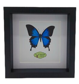 Nature Deco PRE ORDER Extra diep luxe 3D lijst vierkant 22 x 22 x 4,5cm