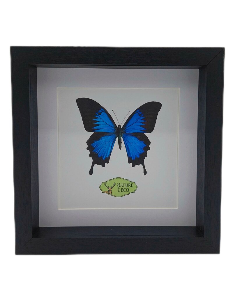 Nature Deco PRE ORDER Extra diep luxe 3D lijst vierkant 22 x 22 x 4,5cm
