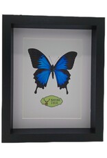 Nature Deco PRE ORDER Extra deep luxury 3D frame rectangle 27 x 22 x 4.5 cm