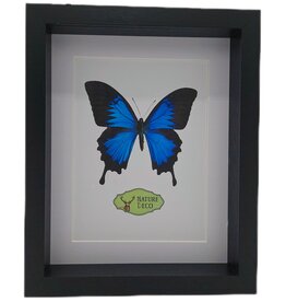 Nature Deco PRE ORDER Extra diep luxe 3D lijst rechthoek 27 x 22 x 4,5cm
