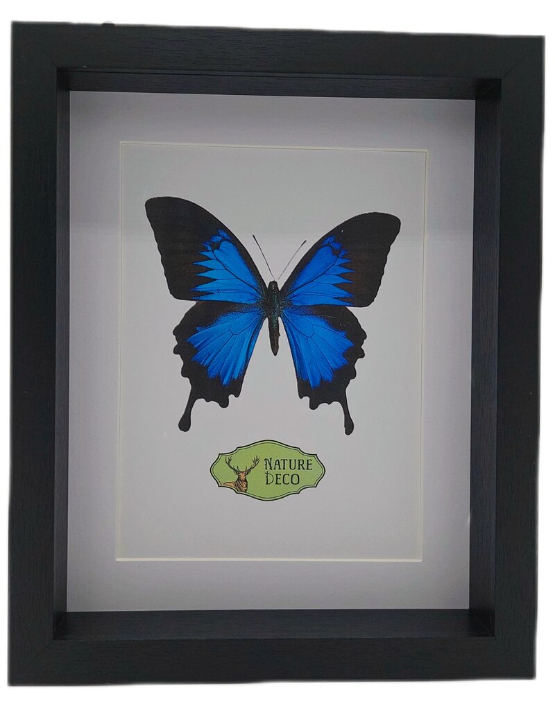 Nature Deco PRE ORDER Extra deep luxury 3D frame rectangle 27 x 22 x 4.5 cm