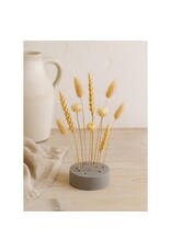 . Glassdome sticks holder