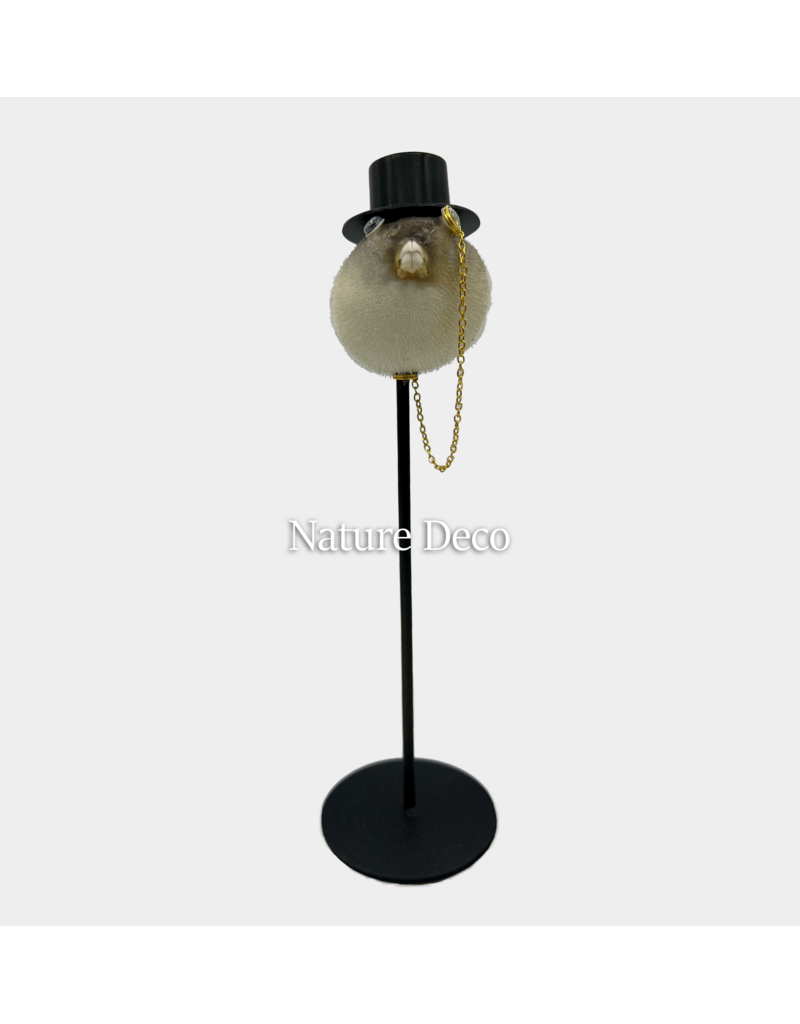 Nature Deco  Meneer puffer vis op voet