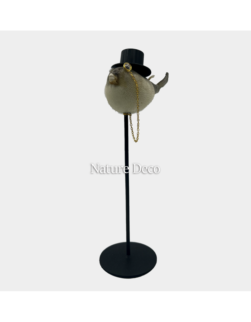 Nature Deco  Meneer puffer vis op voet