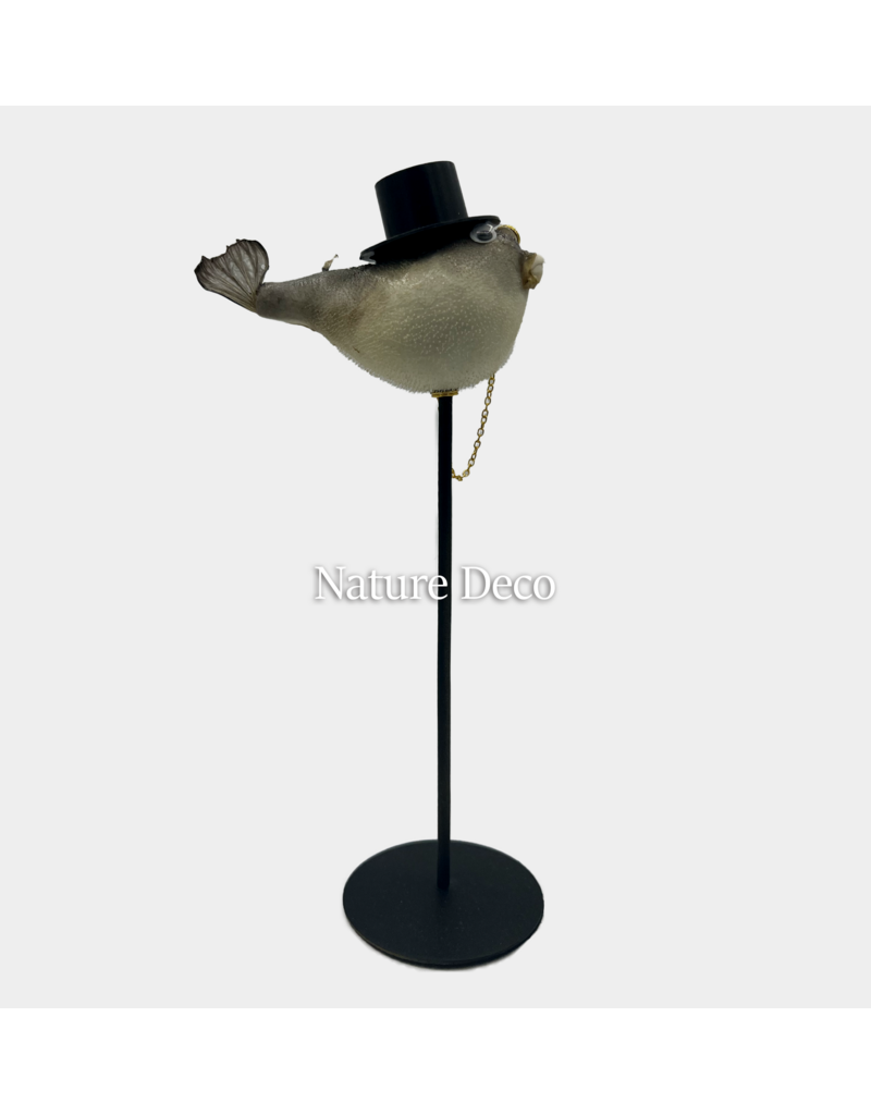 Nature Deco  Meneer puffer vis op voet