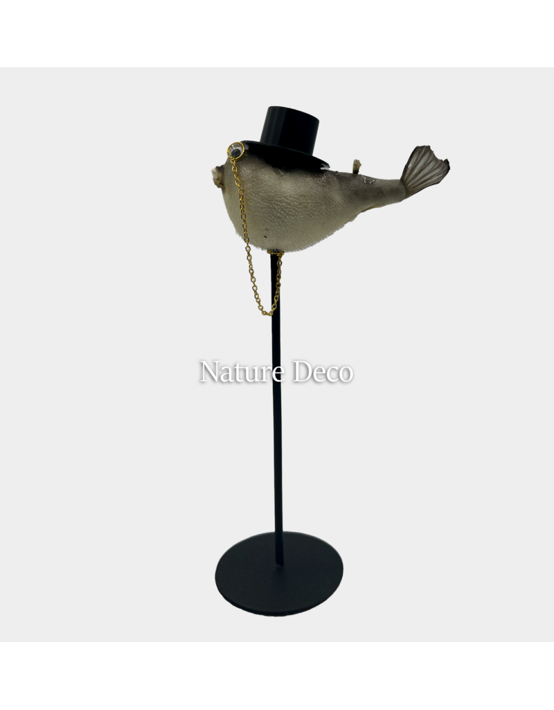 Nature Deco Mr. pufferfish on foot