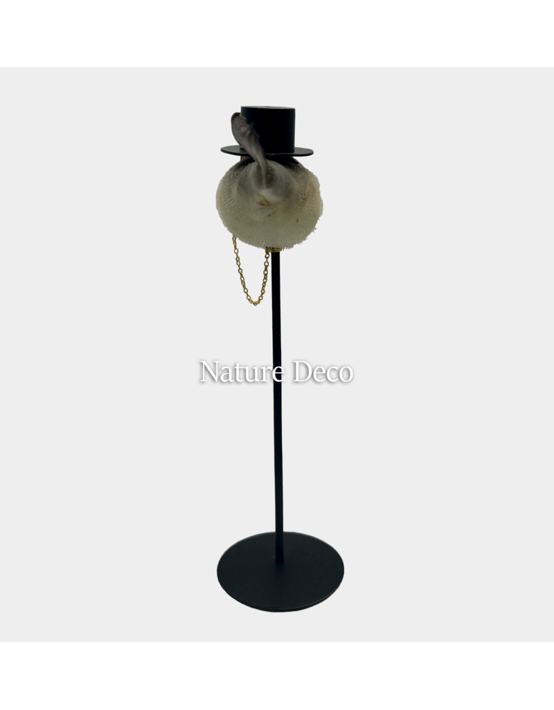 Nature Deco Mr. pufferfish on foot