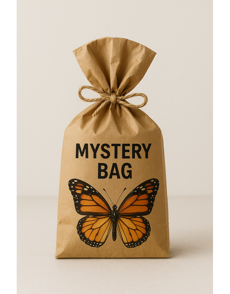 Nature Deco Unmounted Butterflies Mystery Bag! €50,-