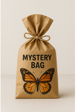 Nature Deco Unmounted Butterflies Mystery Bag! €50,-