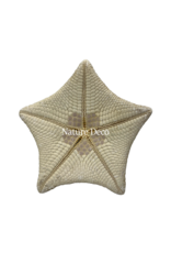 . XXL starfish pillow