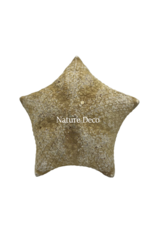 . XXL starfish pillow