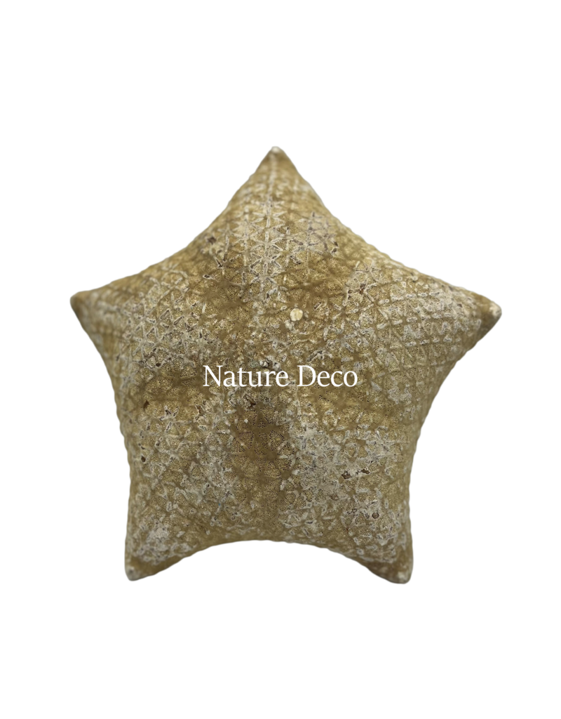 . XXL starfish pillow