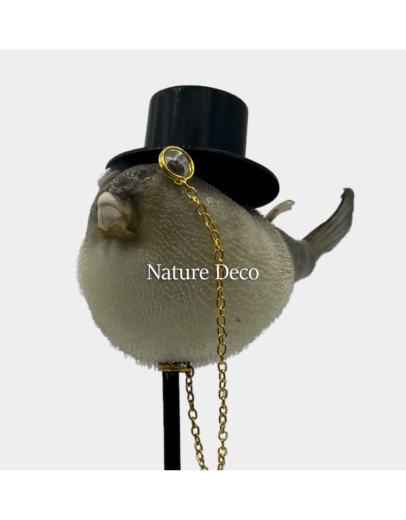 Nature Deco  Meneer puffer vis op voet