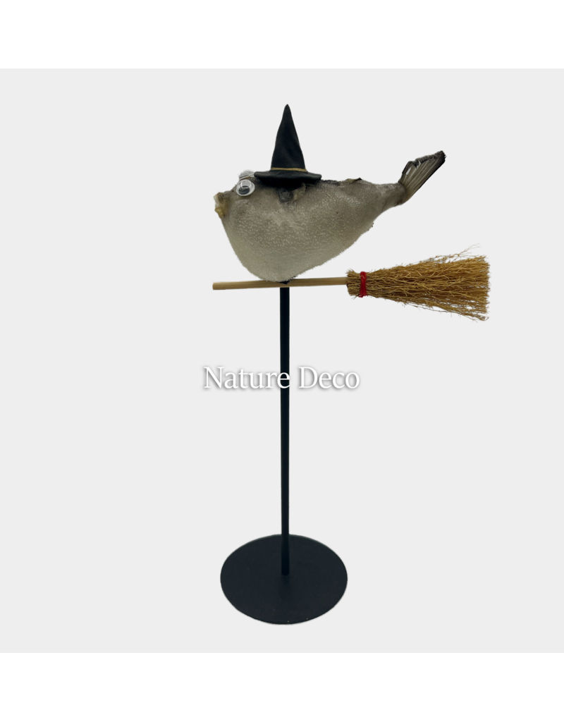 Nature Deco Heks puffer vis op standaard